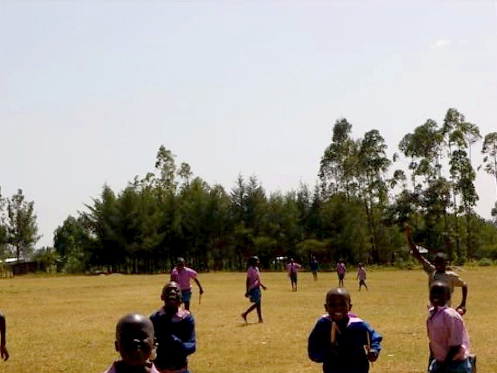 Schoolchildren playing on a field with a mature woodlot of tall trees in the background