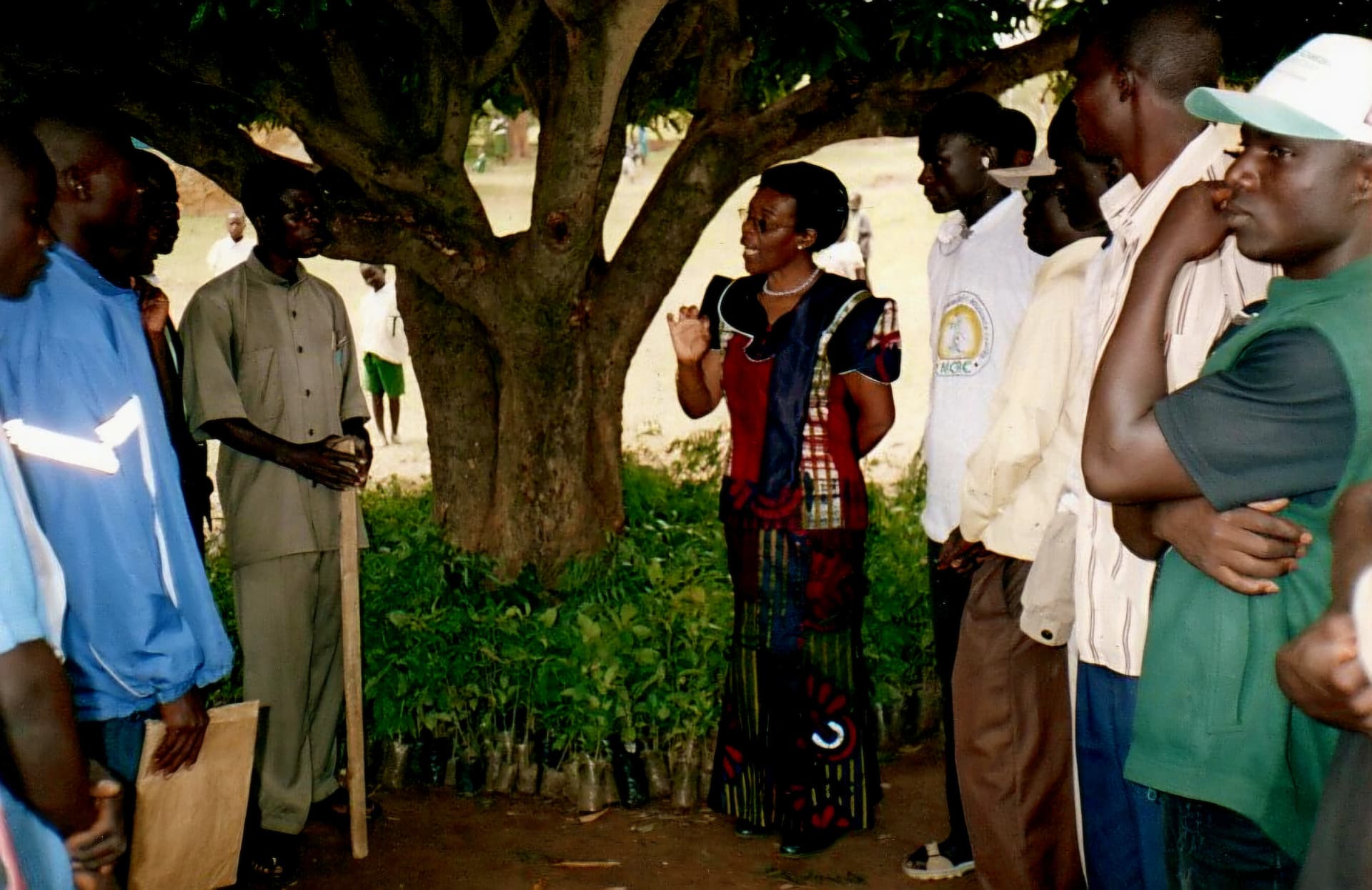 A woman addressing a group of men under a tree beside rows of potted tree seedlings