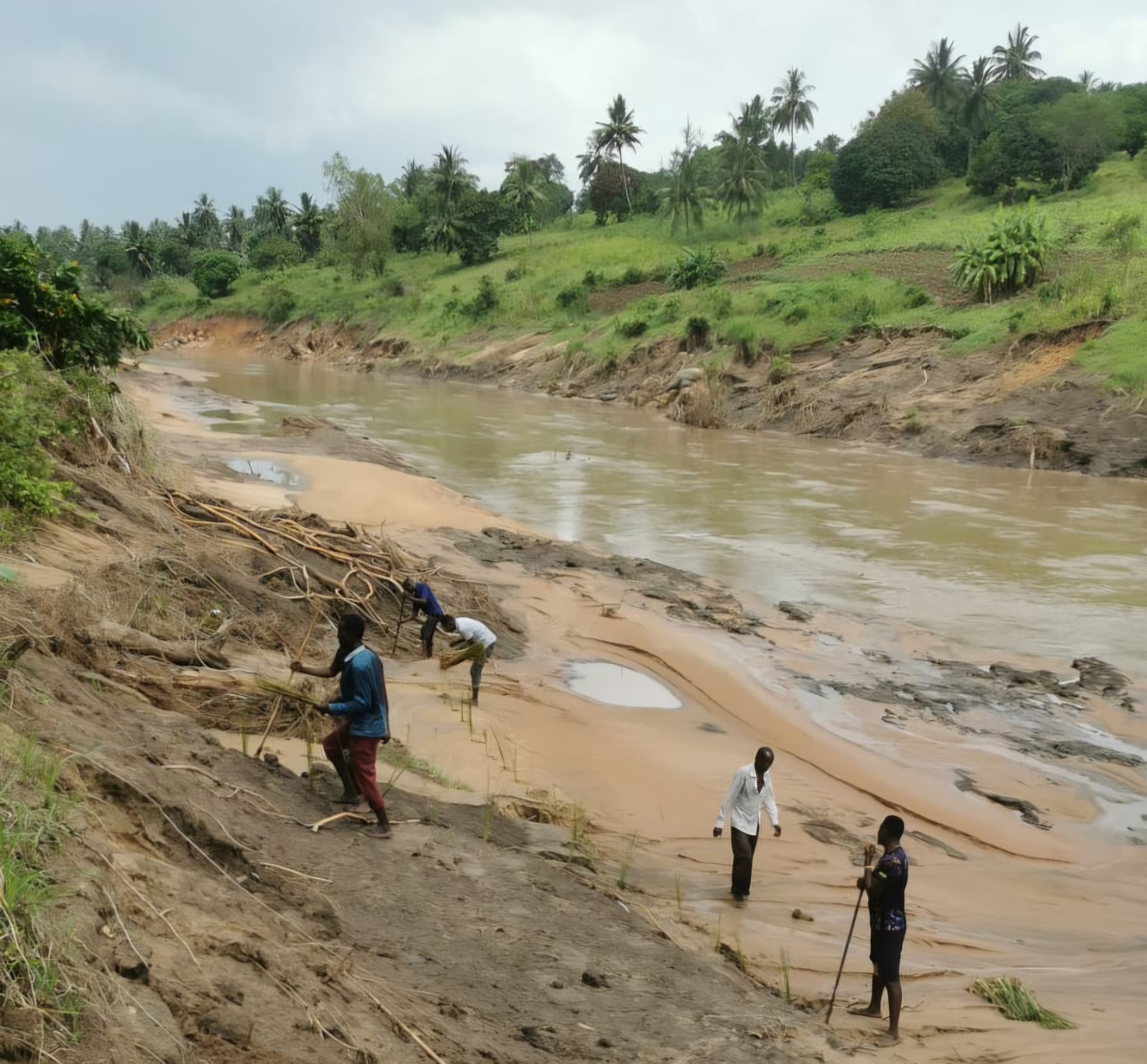 Community work along the Ramisi River at Mkelekeleni Ridge