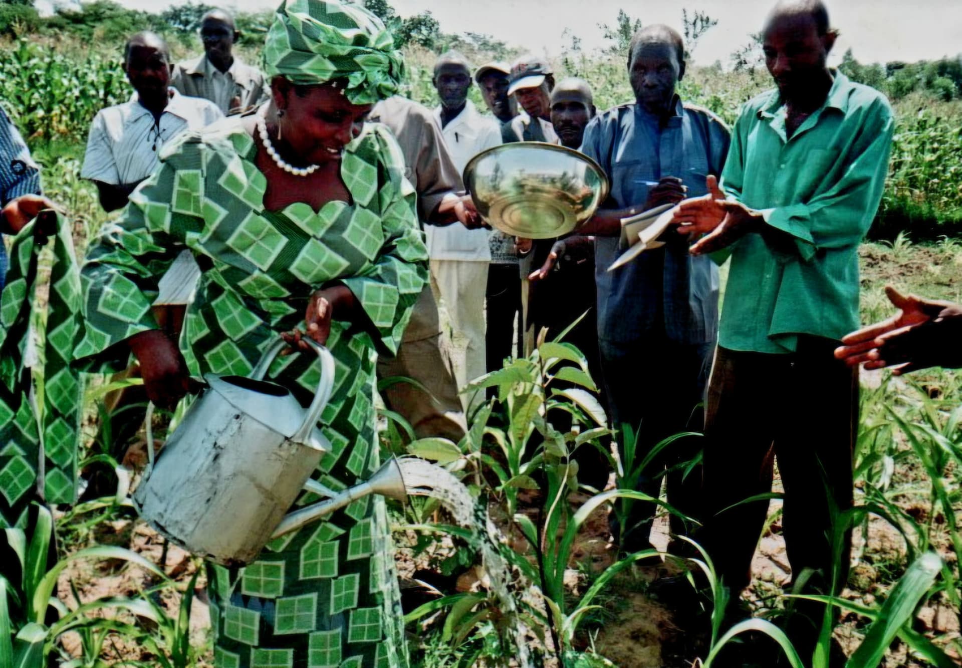 A woman watering a newly planted seedling with a watering can as onlookers watch
