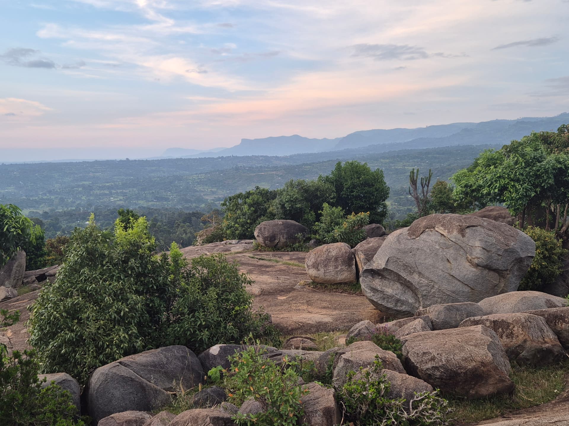 Mount Elgon forested landscape