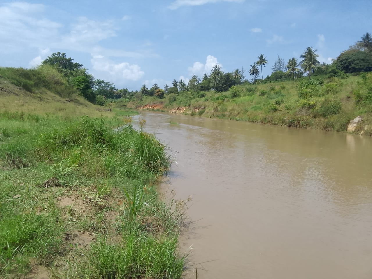 Ramisi River at full volume
