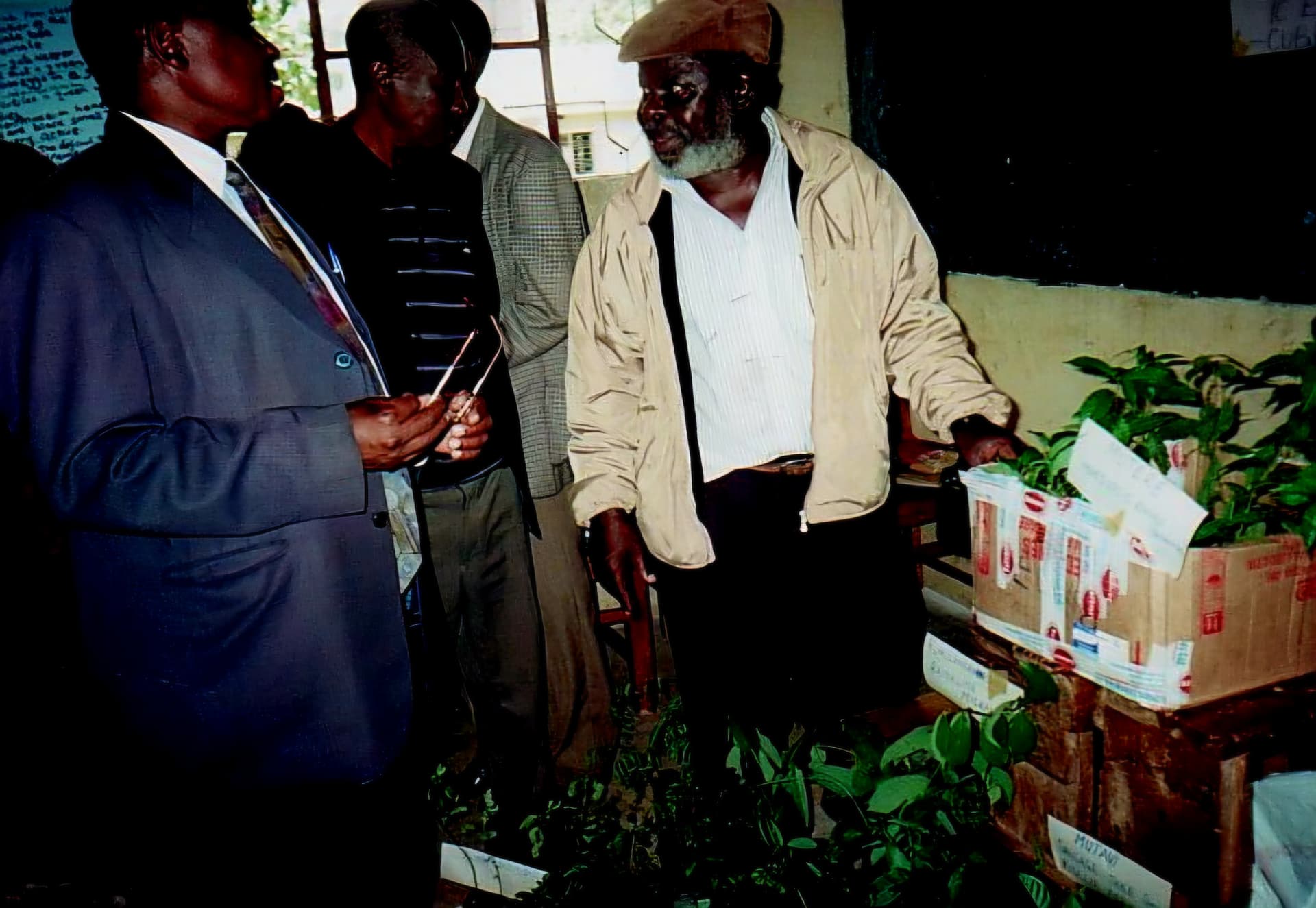 Stakeholders examining labelled indigenous tree seedlings on a display bench