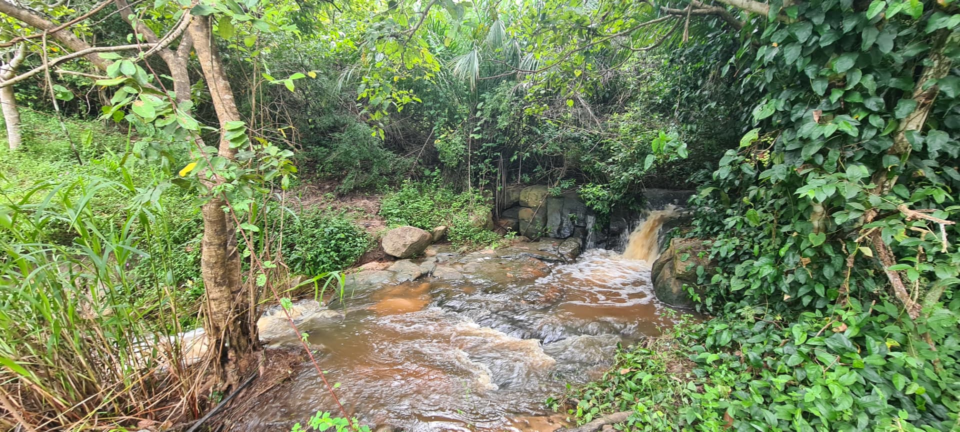 Seasonal waterfall