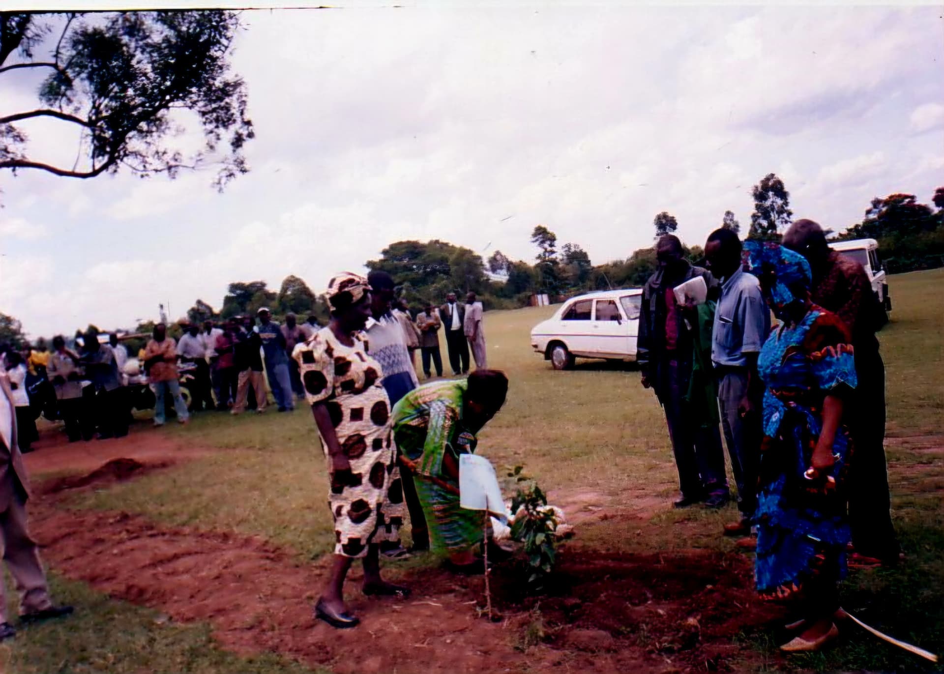 A woman planting a seedling on an open field while guests watch
